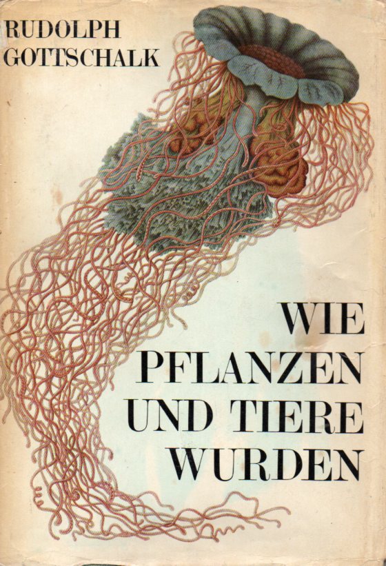 Gottschalk,Rudolph  Wie Pflanzen und Tiere wurden.Streifzüge durch die Abstammungslehre 