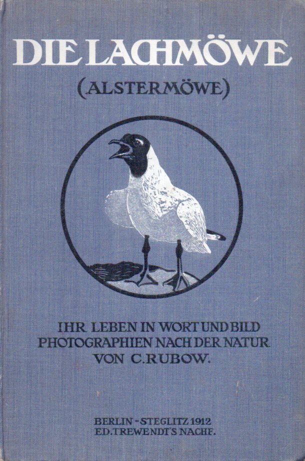 Rubow,Carl  Die Lachmöwe (Larus ridibundus) 