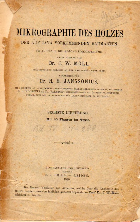 Moll,J.W. und H.H.Janssonius  Mikrographie des Holzes der auf Java vorkommenden Baumarten 