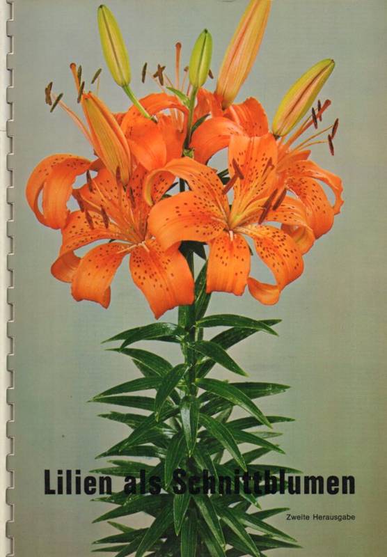 Niederländischer Zentral-Blumenzwiebel-Ausschuss  Lilien als Schnittblumen 