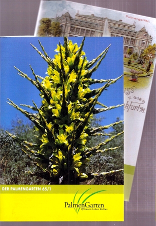 Der Palmengarten  Der Palmengarten 65.Jahrgang 2001, Hefte 1 bis 2 (2 Hefte) 