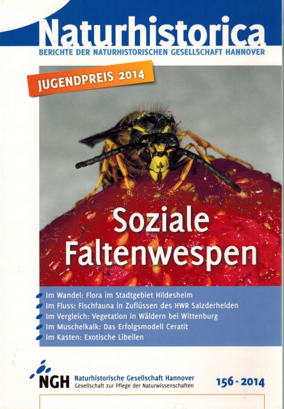 Naturhistorische Gesellschaft Hannover  Soziale Faltenwespen 