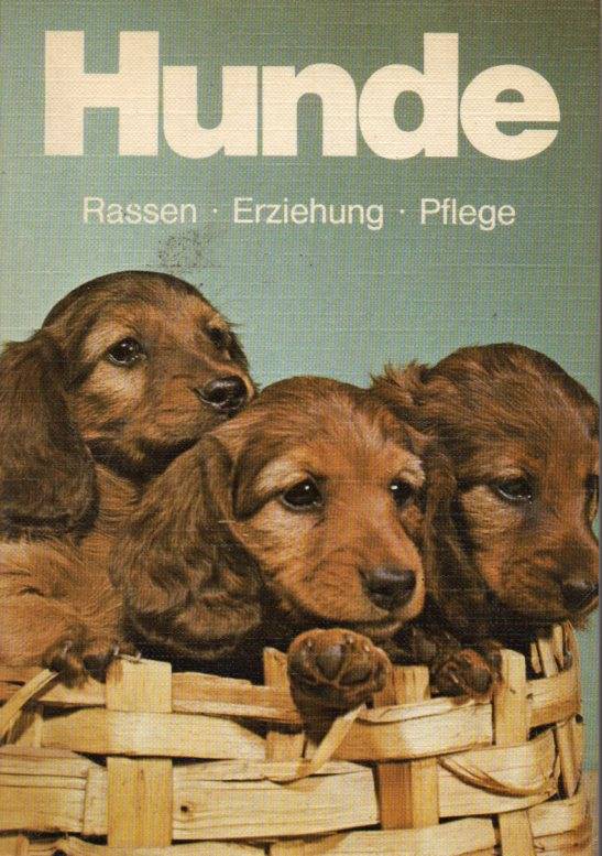 Heger,Anna-Maria  Hunde-Rassen-Erziehung-Pflege 