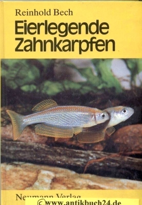 Bech,Reinhold  Eierlegende Zahnkarpfen 