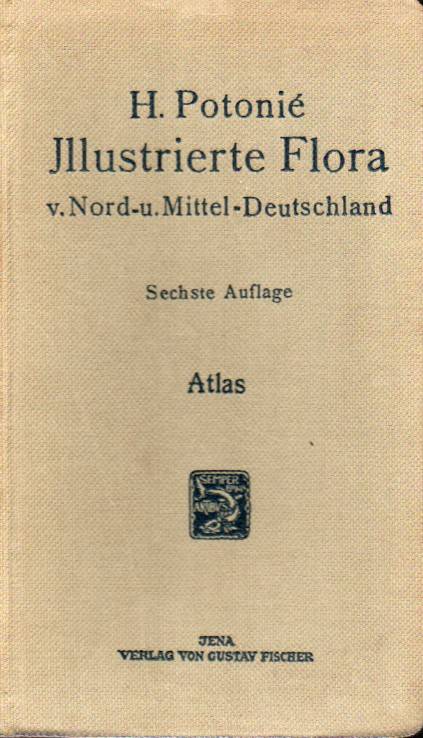 Potenié,H.  Illustrierte Flora von Nord-und Mitteldeutschland.1.+2.Band 
