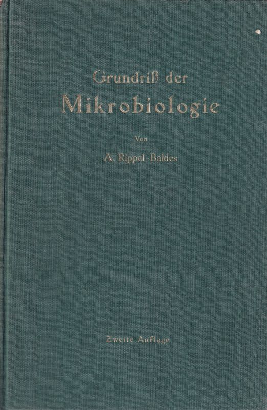 Rippel-Baldes, August  Grundriß der Mikrobiologie 