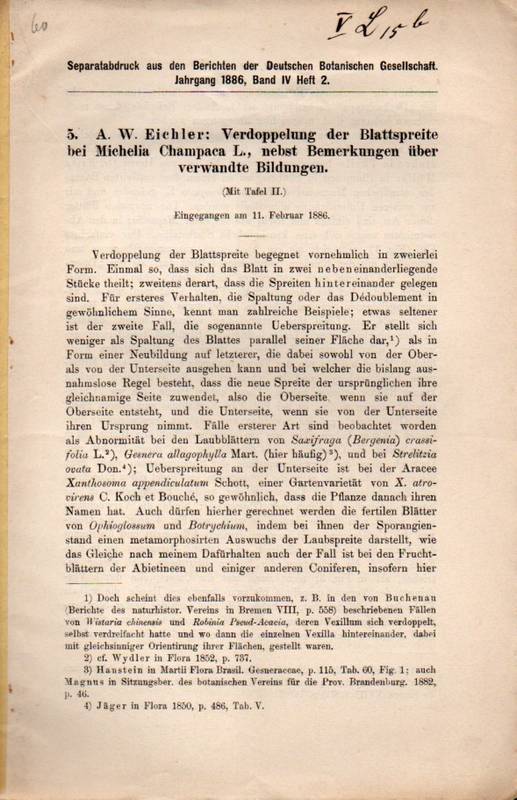 Eichler,A.W.  Verdoppelung der Blattspreite bei Michelia Champaca L.,nebst 