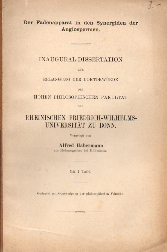 Habermann,Alfred  Der Fadenapparat an den Synergiden der Angiospermen 