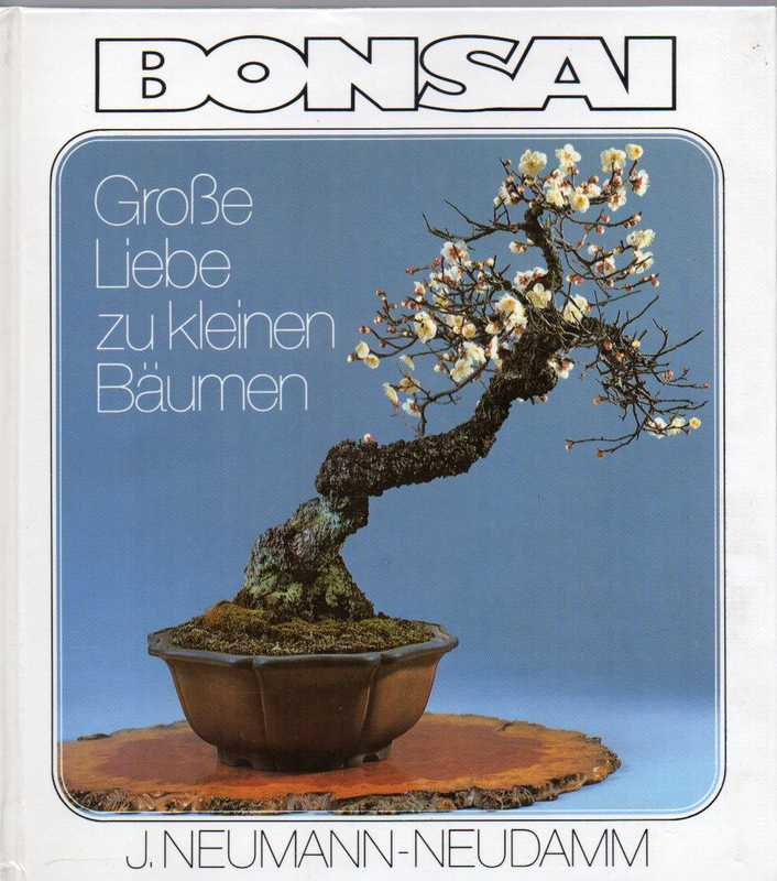 Gessner,Hildegard  Bonsai 