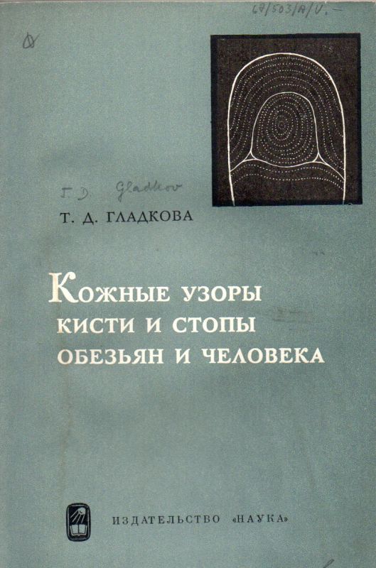 Gladkowa T.D.  Hautmuster an den Händen u. Füssen der Menschen u. der Affen 