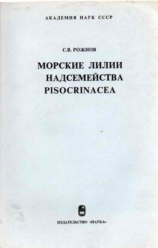 Roschnow S.W.  Meerlilien (Pisocrinacea) 