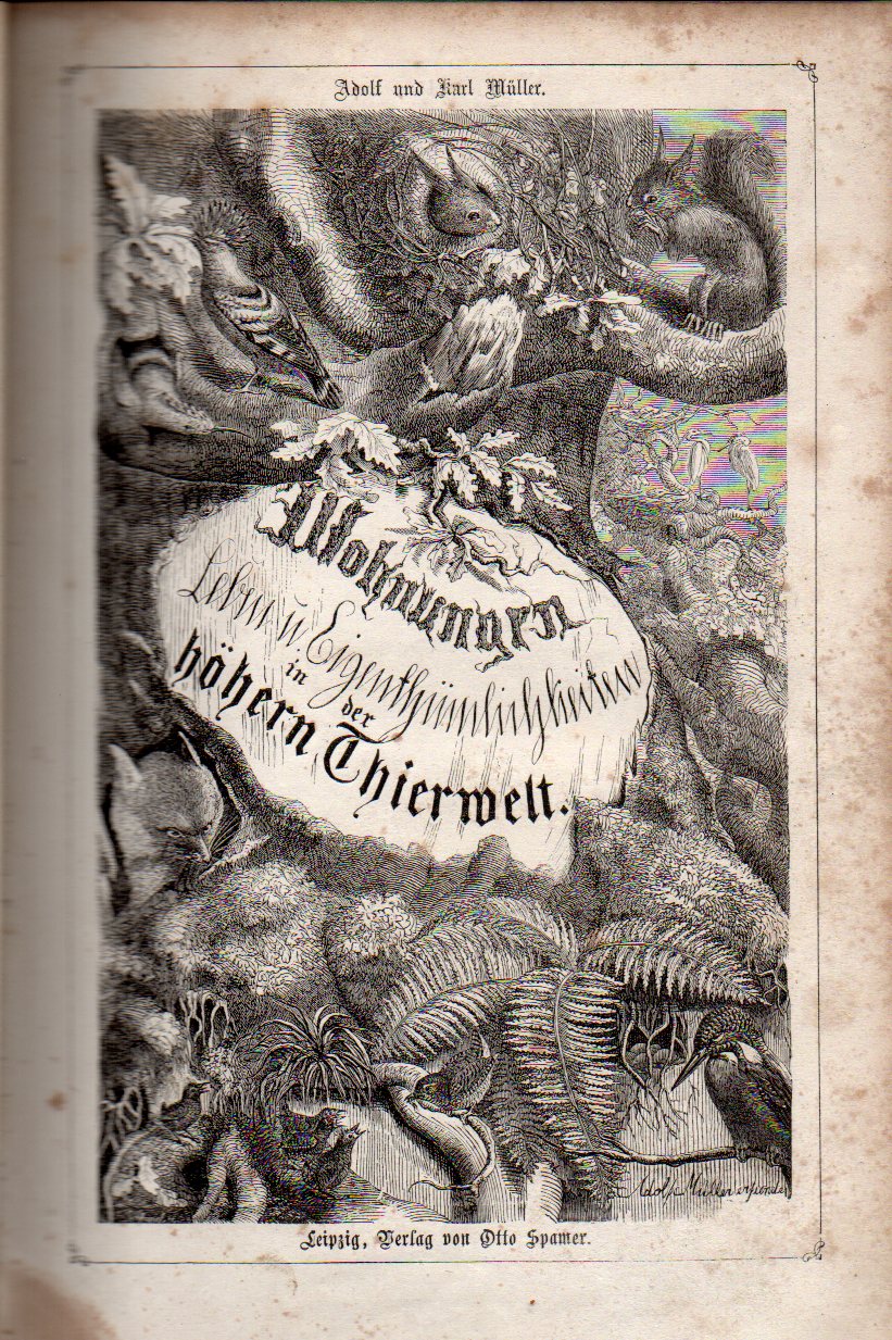 Müller,Adolf und Karl  Aus der Thierwelt I. Wohnungen, Leben und Eigenthümlichkeiten im 