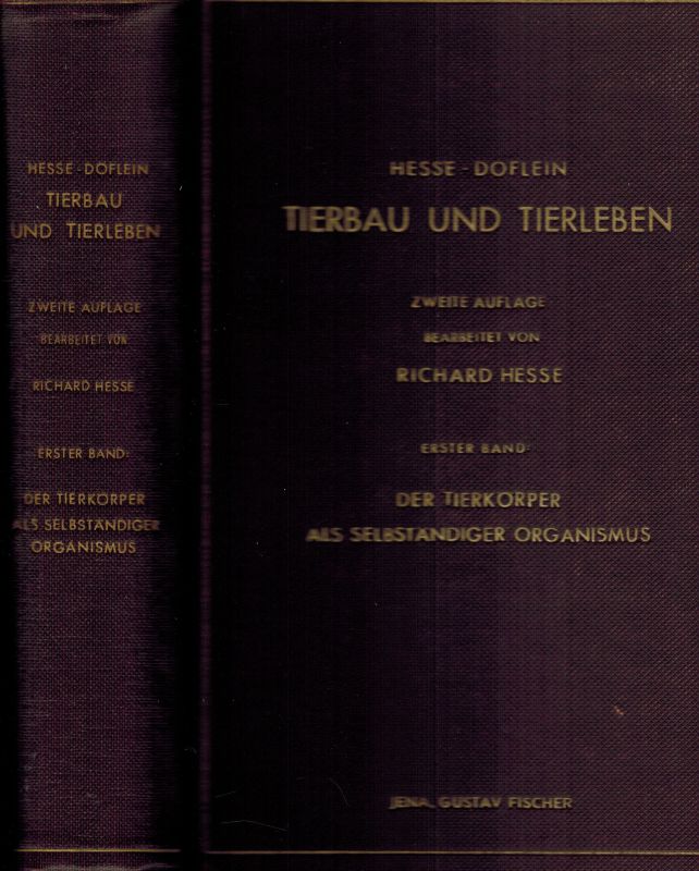 Hesse,Richard und Franz Doflein  Tierbau und Tierleben in ihrem Zusammenhang betrachtet Erster Band 