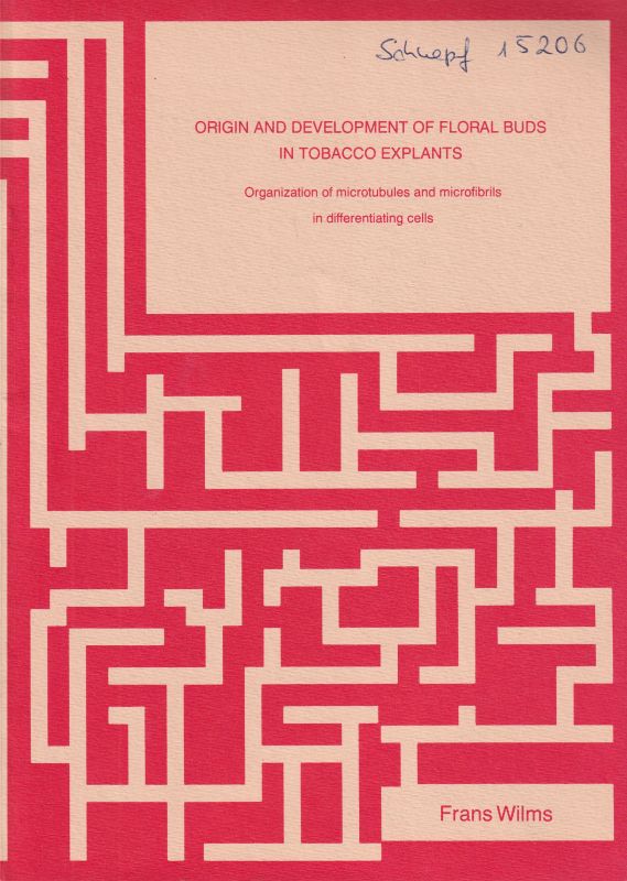 Wilms,Frans Herman Antoon  Origin and development of floral buds in Tobacco Explants 