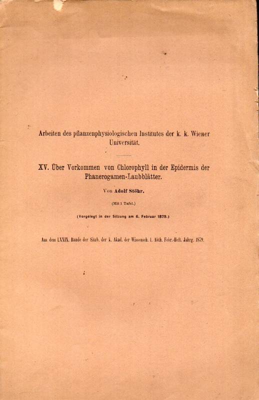 Stöhr,Adolf  XV.Über Vorkommen von Chlorophyll in der Epidermis der 