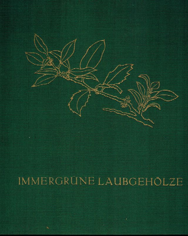 Misak,Josef  Immergrüne Laubgehölze 