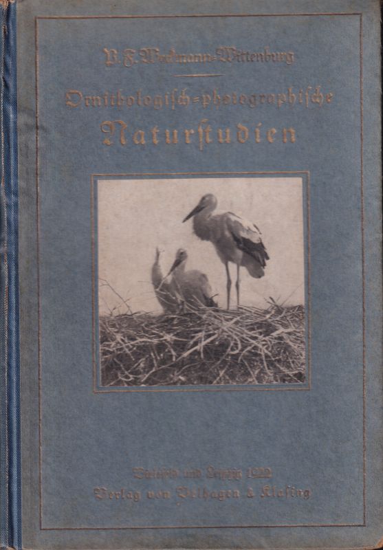 Weckmann,P.F.  Ornithologisch-photographische Naturstudien 