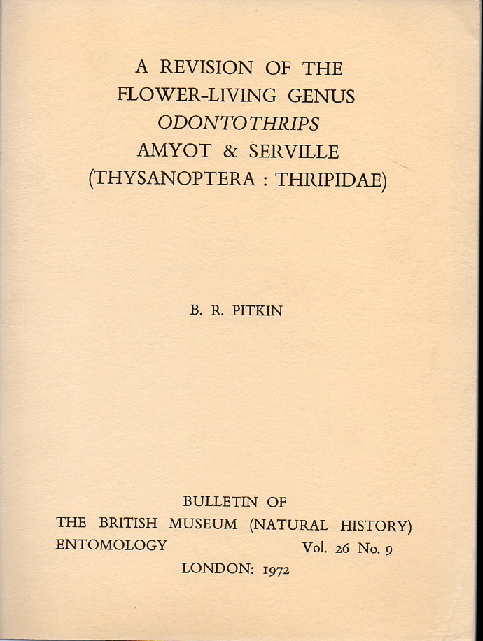 Pitkin,B.R.  A revision of the flower-living genus Odontothrips Amyot & Serville 
