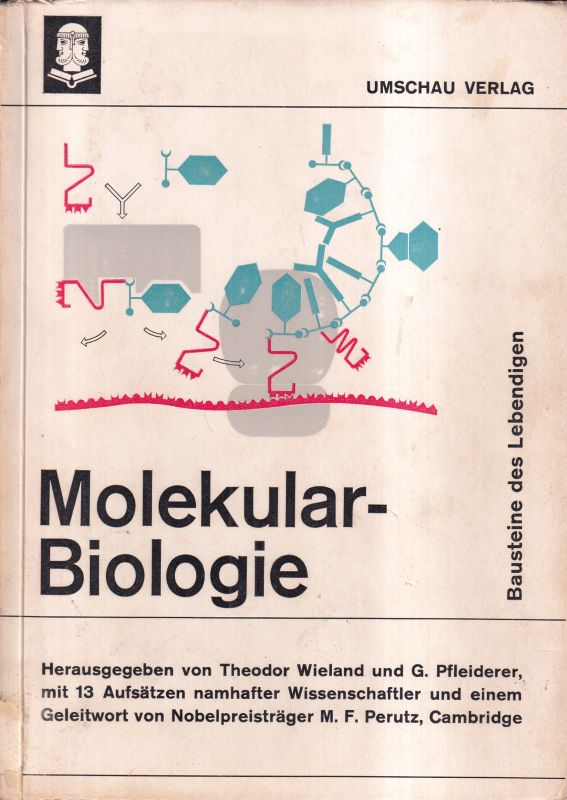 Wieland,Theodor+Pfleiderer,Gerhard  Molekularbiologie-Bausteine des Lebendigen 