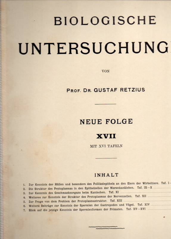 Retzius,Gustav  Biologische Untersuchungen XVII. Band 1912 Neue Folge 