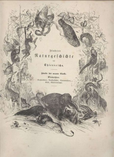 Pöppig,Eduard  Illustrierte Naturgeschichte des Thierreichs-Anatomie,Physiologie und 