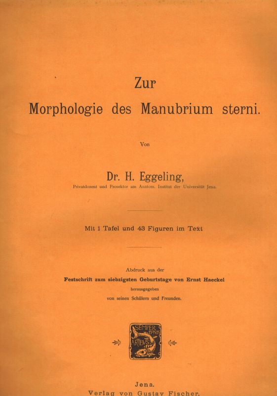 Eggeling,H.von  Zur Morphologie des Manubrium sterni 