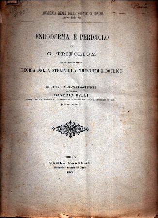Belli,Saverio  Endoderma e Periciclo nel G. Trifolium in Repporto colla Teoria della 