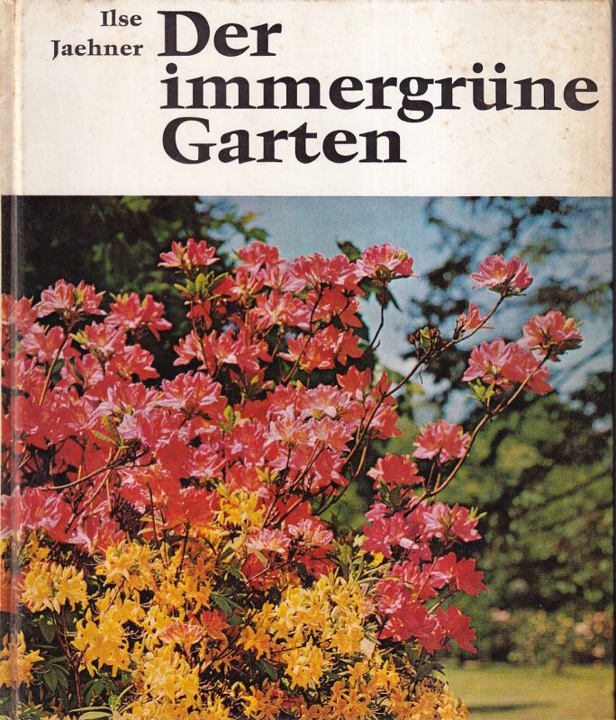 Jaehner,Ilse  Der immergrüne Garten 