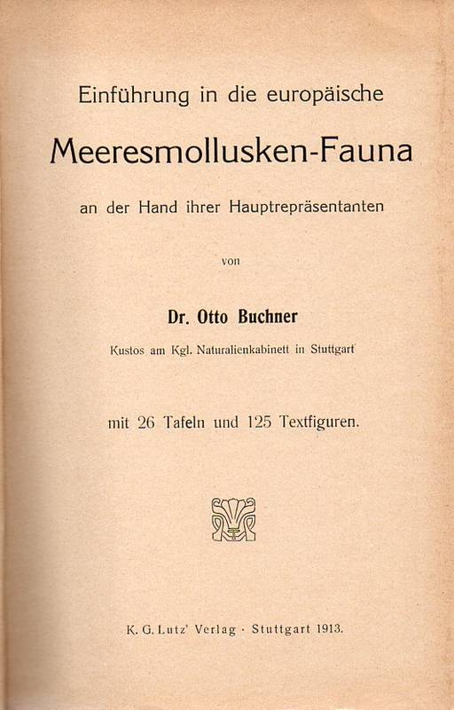 Buchner,Otto  Einführung in die europäische Meeresmollusken-Fauna an der Hand 