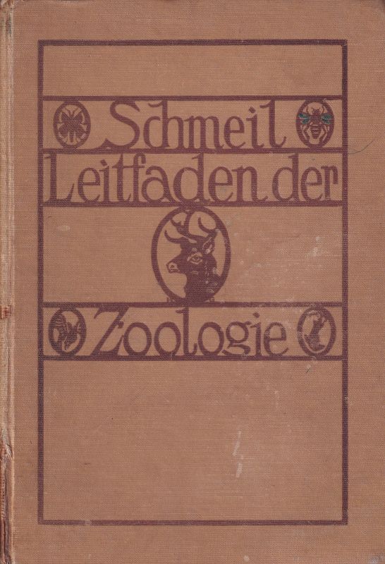 Schmeil,Otto  Leitfaden der Zoologie 