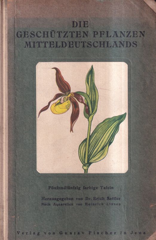 Sattler,Erich  Die geschützten Pflanzen Mitteldeutschlands 