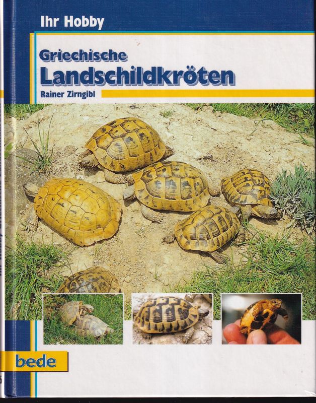 Zirngibl,Rainer  Griechische Landschildkröten 