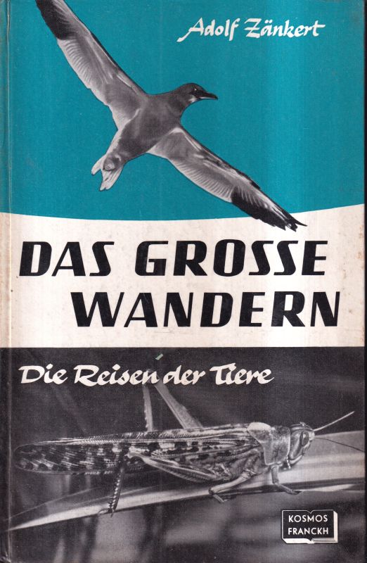 Zänkert,Adolf  Das grosse Wandern.Die Reisen der Tiere 