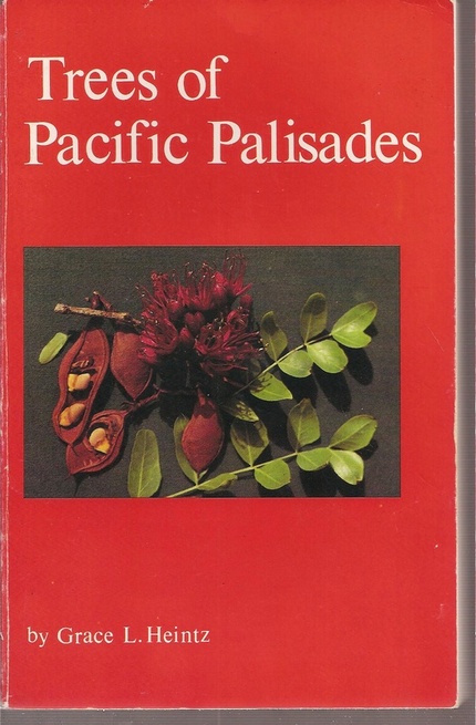 Heintz,Grace L.  Trees of Pacific Palisades 