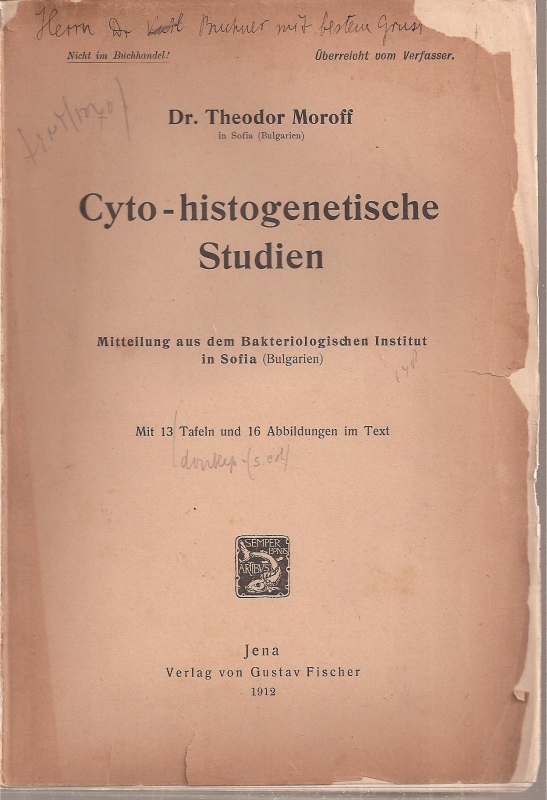 Moroff,Theodor  Cyto-histogenetische Studien 