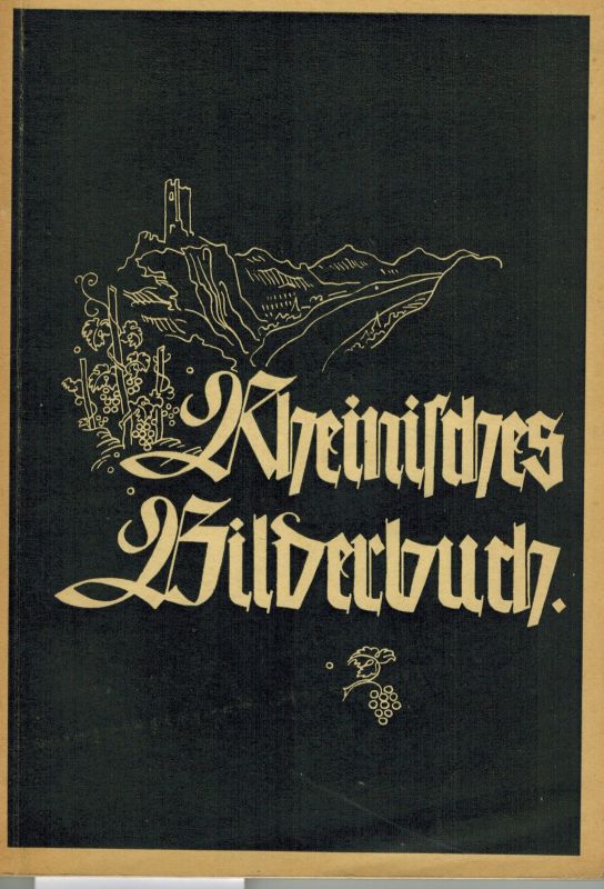 Holt,Heinrich Eduard vom  Rheinisches Bilderbuch 