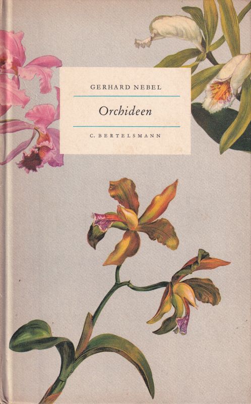 Nebel,Gerhard  Orchideen 