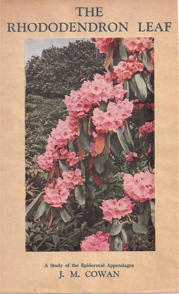 Cowan,John Macqueen  The Rhododendron Leaf 
