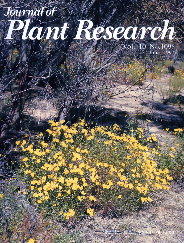 The Botanical Society of Japan  Journal of Plant Research Volume 110, No. 1098 June 1997 