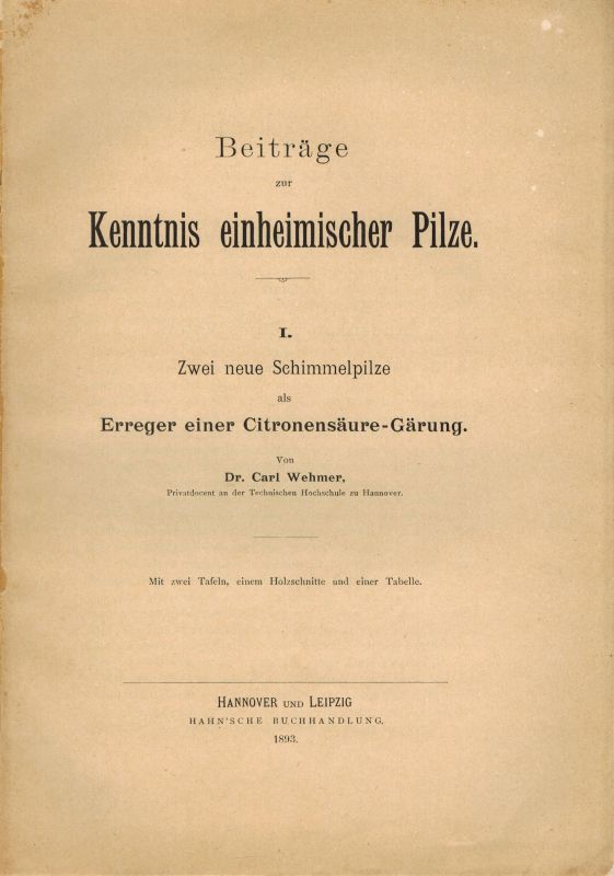 Wehmer,Carl  Beiträge zur Kenntnis einheimischer Pilze I.Zwei neue Schimmelpilze 