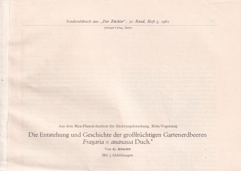 Staudt,G.  Die Entstehung und Geschichte der großfrüchtigen Gartenerdbeeren 