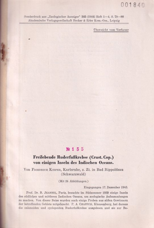 Kiefer,Friedrich  Freilebende Ruderfußkrebse (Crustacea Cop.) von einigen Inseln des 