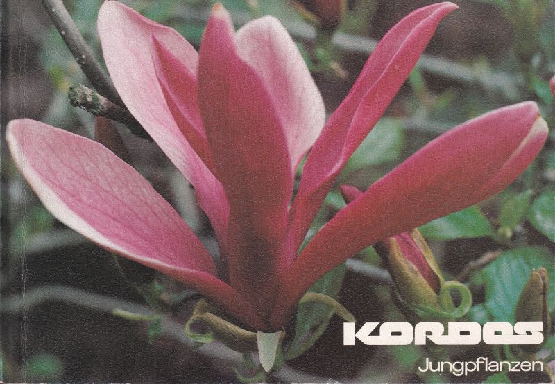 Kordes  Kordes-Jungpflanzen Preisliste 1981/82 