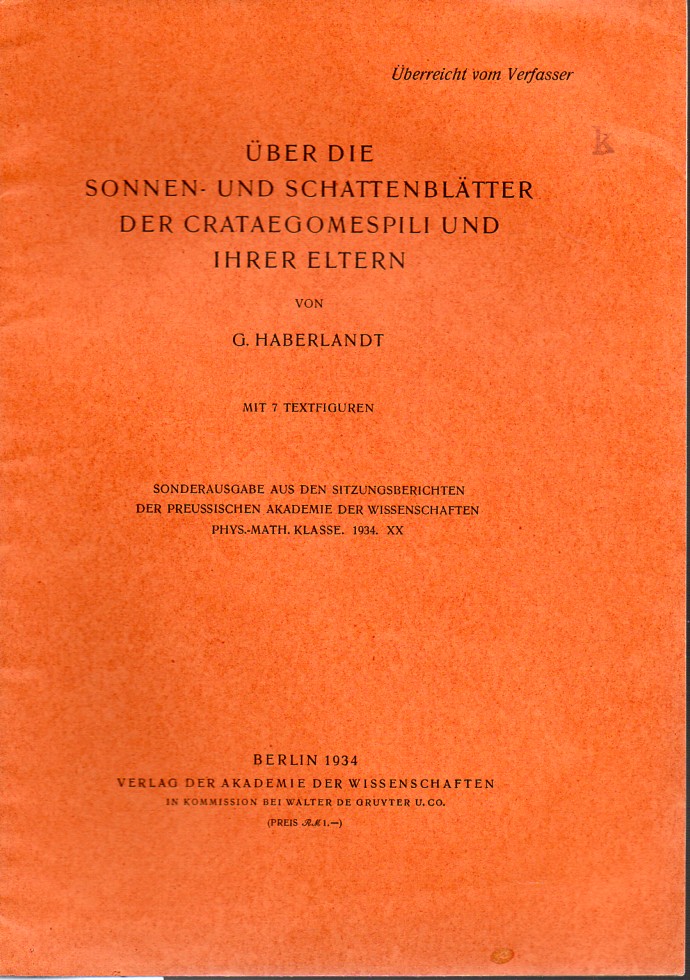 Haberlandt,G.  Über die Sonnen- und Schattenblätter der Crataegomespili und ihrer 