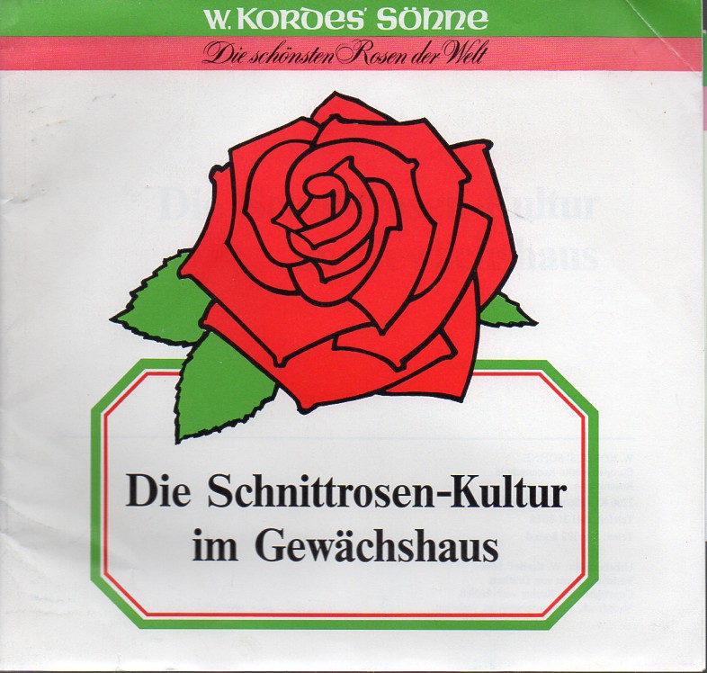 W.Kordes' Söhne  Die Schnittrosen-Kultur im Gewächshaus 