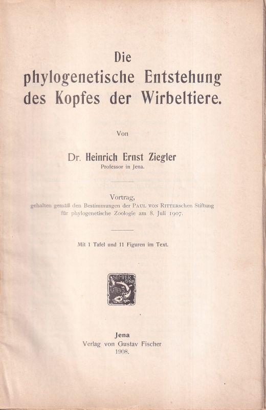 Ziegler,Heinrich Ernst  Die phylogentische Entstehung des Kopfes der Wirbeltiere 