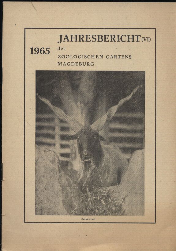 Magdeburg-Zoologischer Garten  Jahresbericht (VI) 1965 