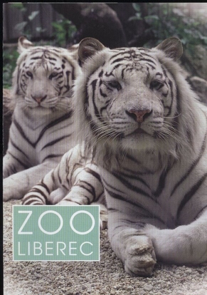 Liberec-Zoo  Zoo Liberec (weiße Tiger) 