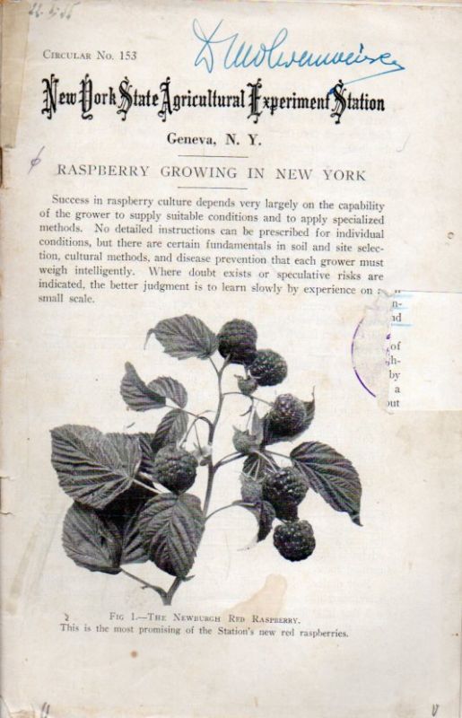 New York State Agricultural Experiment Station  Raspberry Growing in New York 