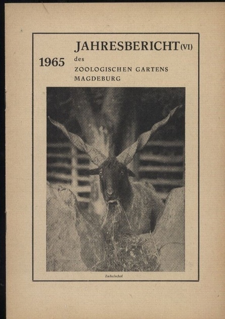 Magdeburg-Zoo  Jahresbericht des Zoologischen Gartens Magdeburg 1965 